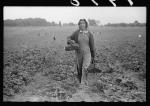 Migrant girl, strawberry picker, Berrien County, Michigan. 1940.