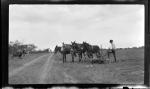 Migratory farm worker. Robstown camp, Robstown, Texas. The South Texas Border, 1900-1920.
